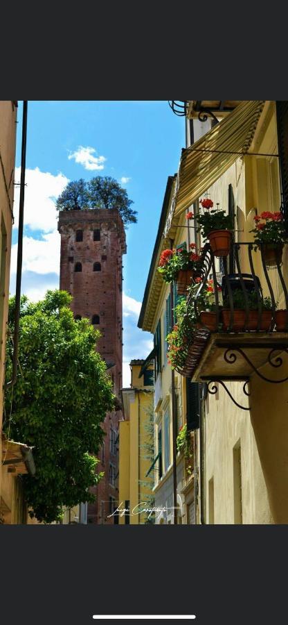 Casa Luba * Lucca