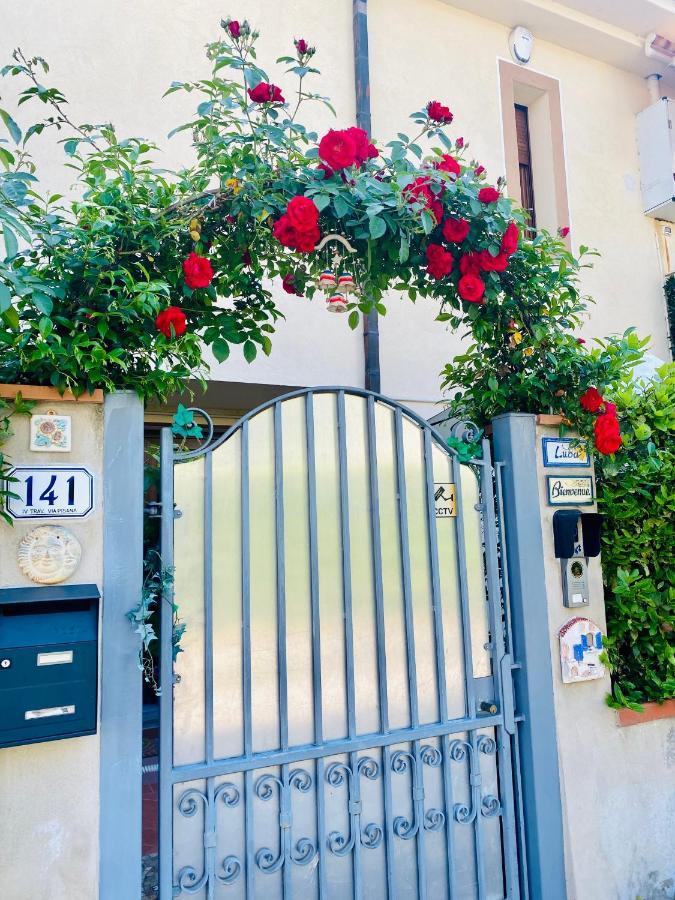 Guest house Casa Luba Lucca